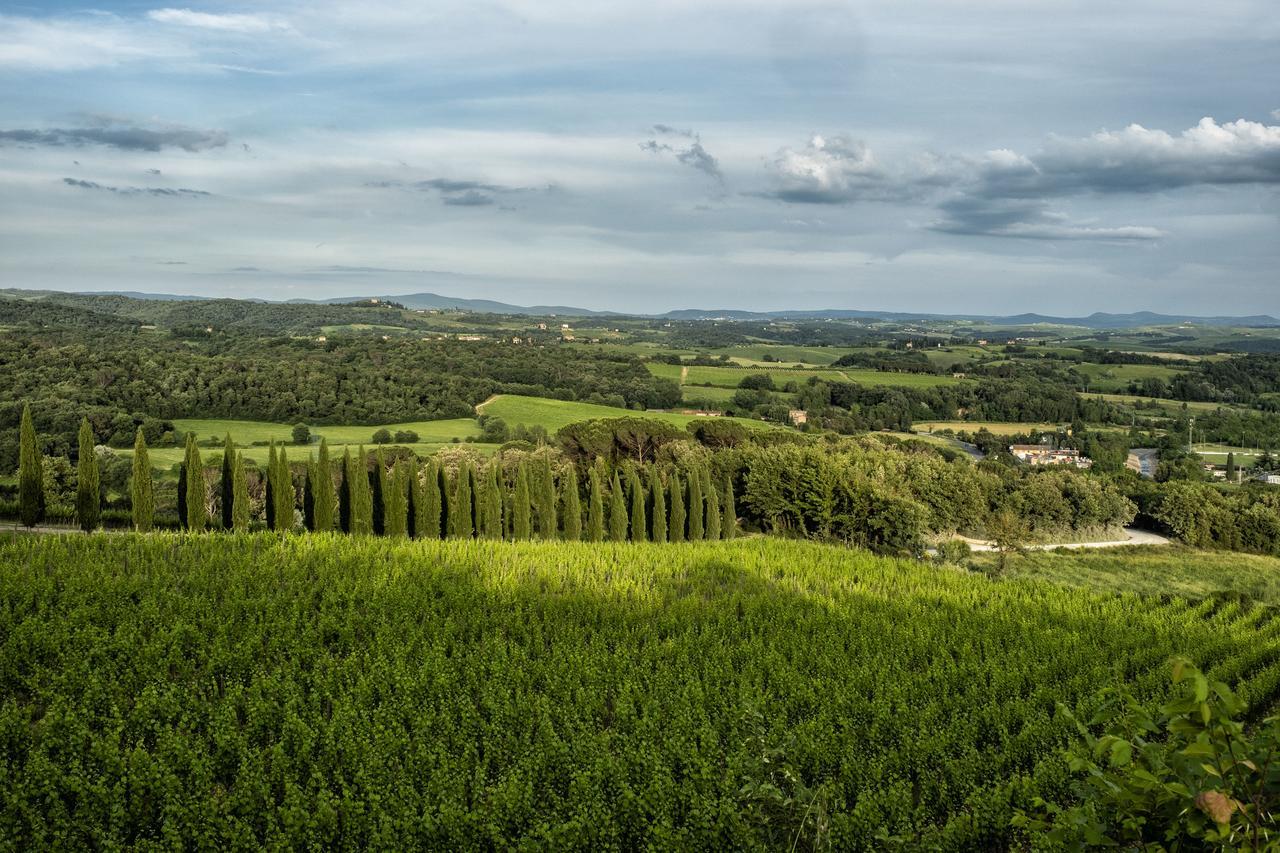 Borgo Argiano Villa Castelnuovo Berardenga Dış mekan fotoğraf